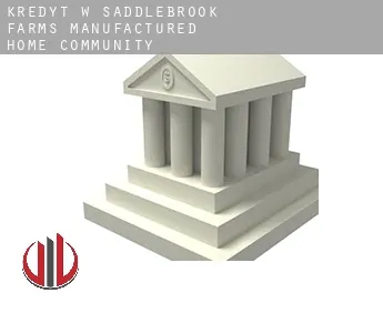 Kredyt w  Saddlebrook Farms Manufactured Home Community