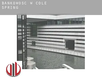 Bankowość w  Cole Spring