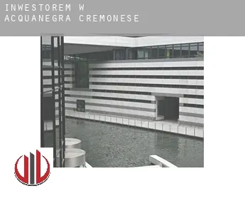 Inwestorem w  Acquanegra Cremonese
