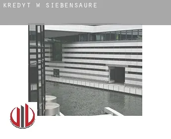 Kredyt w  Siebensäure