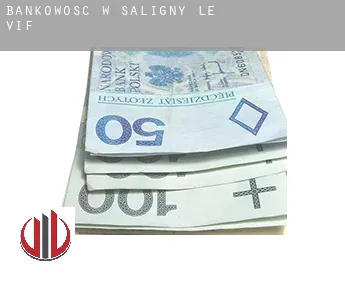 Bankowość w  Saligny-le-Vif