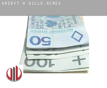 Kredyt w  Dills Acres