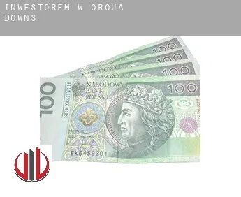 Inwestorem w  Oroua Downs