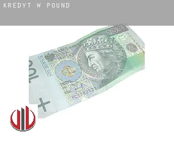 Kredyt w  Pound