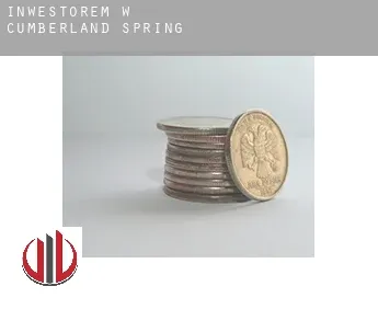 Inwestorem w  Cumberland Spring