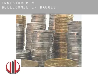 Inwestorem w  Bellecombe-en-Bauges