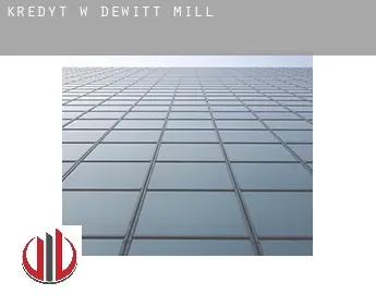 Kredyt w  Dewitt Mill