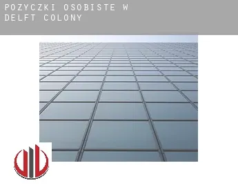 Pożyczki osobiste w  Delft Colony