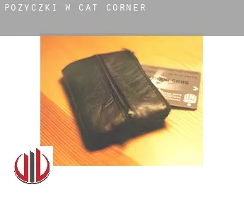 Pożyczki w  Cat Corner