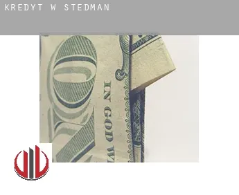 Kredyt w  Stedman