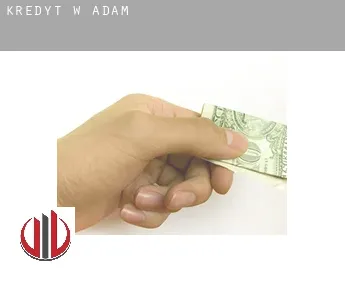 Kredyt w  Adam