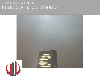 Inwestorem w  Piedicorte-di-Gaggio