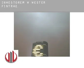 Inwestorem w  Wester Fintrae