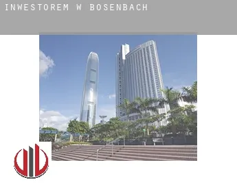 Inwestorem w  Bosenbach