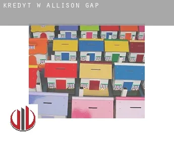 Kredyt w  Allison Gap