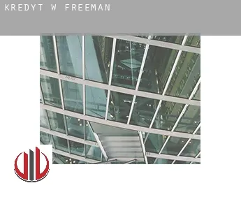 Kredyt w  Freeman
