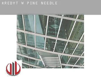Kredyt w  Pine Needle