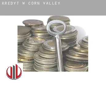Kredyt w  Corn Valley