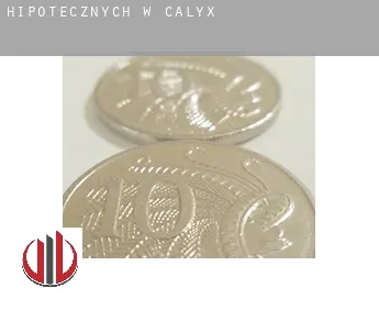 Hipotecznych w Calyx