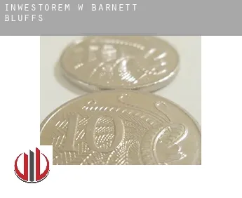 Inwestorem w  Barnett Bluffs