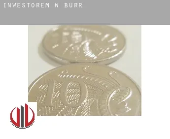Inwestorem w  Burr
