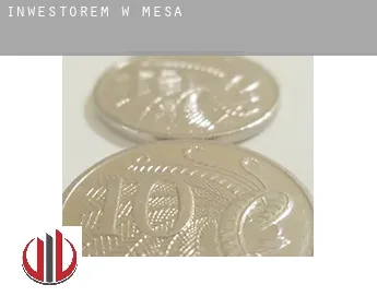 Inwestorem w  Mesa