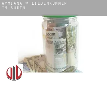 Wymiana w  Liedenkummer im Süden