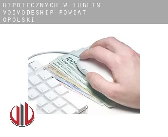 Hipotecznych w  Powiat opolski (Lublin Voivodeship)