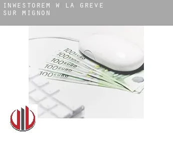 Inwestorem w  La Grève-sur-Mignon