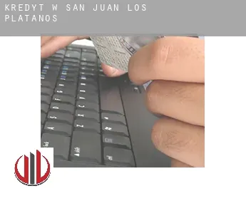 Kredyt w  San Juan De Los Platanos