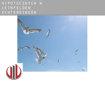 Hipotecznych w  Leinfelden-Echterdingen