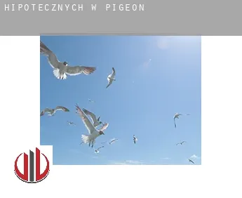 Hipotecznych w  Pigeon