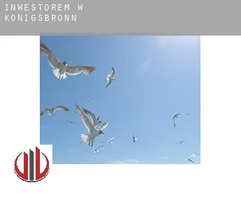 Inwestorem w  Königsbronn