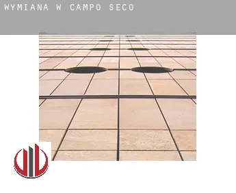 Wymiana w  Campo Seco