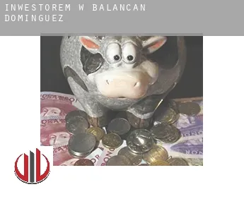 Inwestorem w  Balancán de Domínguez