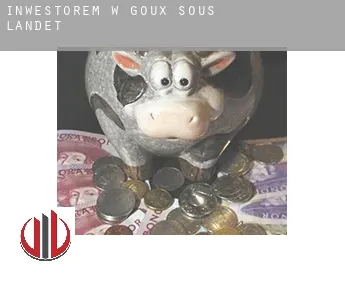Inwestorem w  Goux-sous-Landet