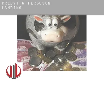 Kredyt w  Ferguson Landing