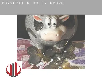 Pożyczki w  Holly Grove
