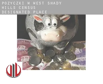 Pożyczki w  West Shady Hills