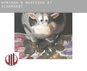 Wymiana w  Montceau-et-Écharnant