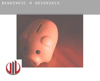 Bankowość w  Hosensack