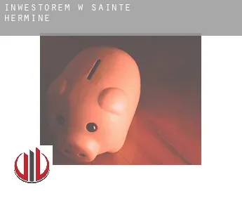 Inwestorem w  Sainte-Hermine