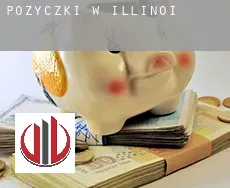 Pożyczki w Illinois