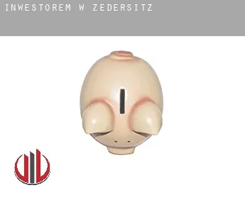 Inwestorem w  Zedersitz