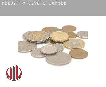 Kredyt w  Coyote Corner