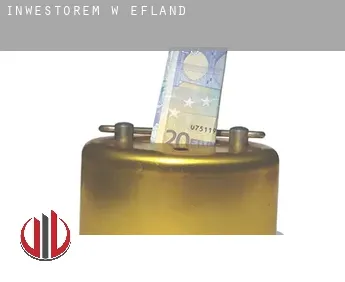Inwestorem w  Efland