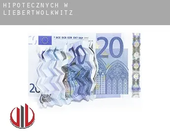Hipotecznych w  Liebertwolkwitz