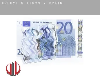 Kredyt w  Llwyn-y-brain