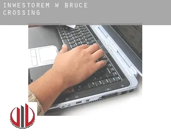 Inwestorem w  Bruce Crossing
