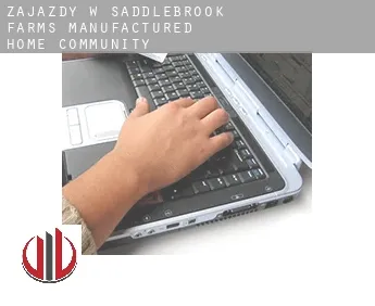 Zajazdy w  Saddlebrook Farms Manufactured Home Community